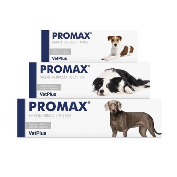 Promax Paste 9ml