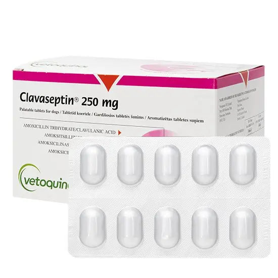 Clavaseptin Palatable Tablets  250mg 10 Tab .