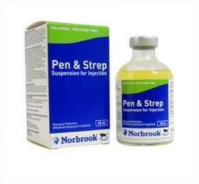 Pen Strep 100 ml Norbrook