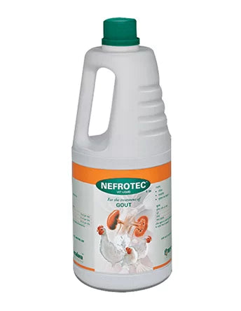 Nefrotec liquid | 1 liter Himalaya