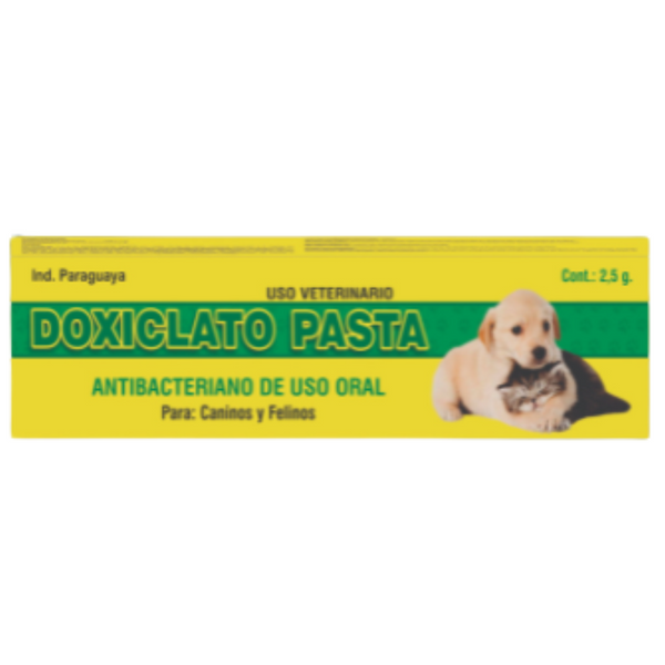 DOXICLATE PASTE 2.5 G